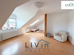 Pronájem bytu 1+kk, Olomouc, Krakovská, 80 m2
