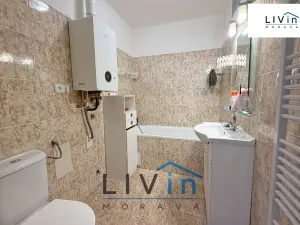 Pronájem bytu 1+kk, Olomouc, Krakovská, 80 m2