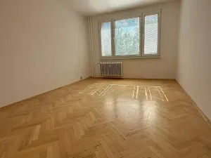 Prodej bytu 2+1, Písek, nábřeží 1. máje, 60 m2