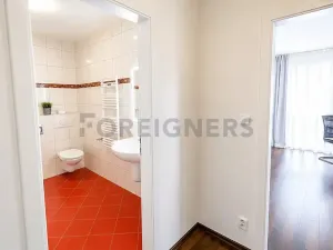 Pronájem bytu 1+kk, Plzeň, Veverkova, 38 m2