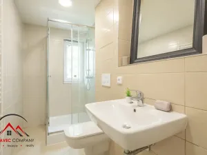 Pronájem bytu 1+1, Ostrava, Cihelní, 31 m2