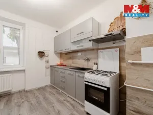 Prodej bytu 1+1, Opava - Předměstí, Polanova, 38 m2