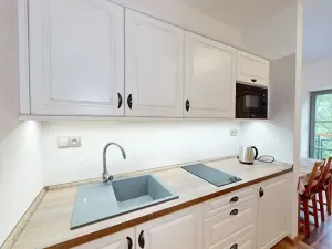 Prodej ubytování, Litomyšl, Černá hora, 295 m2