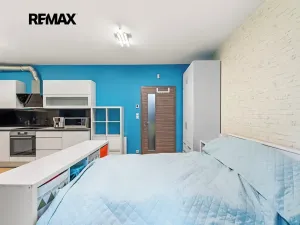 Prodej bytu 1+kk, Praha - Žižkov, Olšanská, 34 m2