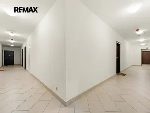 Prodej bytu 1+kk, Praha - Žižkov, Olšanská, 34 m2