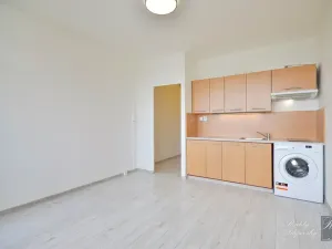 Pronájem bytu 1+kk, Ústí nad Labem, Hoření, 22 m2