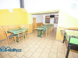Prodej komerční nemovitosti, Slatina nad Zdobnicí, 572 m2