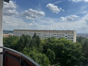 Pronájem bytu 1+1, Brno, Ježkova, 40 m2