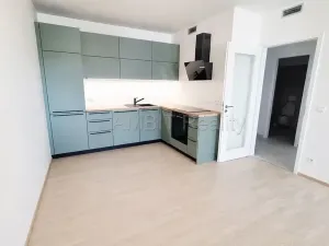 Pronájem bytu 2+kk, Praha - Modřany, Mezi vodami, 70 m2