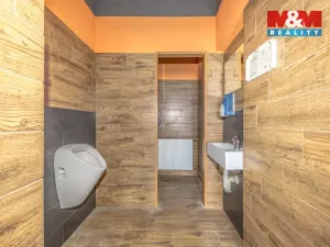 Prodej činžovního domu, Tanvald - Šumburk nad Desnou, Krkonošská, 220 m2