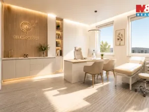 Prodej obchodního prostoru, Třinec - Staré Město, nám. Míru, 425 m2