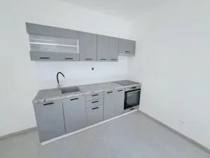 Pronájem bytu 1+1, Plzeň, Mánesova, 45 m2
