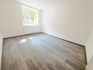 Pronájem bytu 1+1, Plzeň, Mánesova, 45 m2