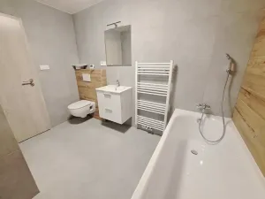 Pronájem bytu 1+1, Plzeň, Mánesova, 45 m2