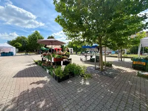 Pronájem bytu 1+kk, Praha, Kubánské náměstí, 22 m2