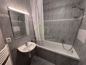 Pronájem bytu 2+kk, Plzeň, Plzenecká, 42 m2