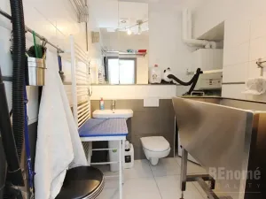 Prodej bytu 1+kk, Praha - Ruzyně, Drnovská, 27 m2