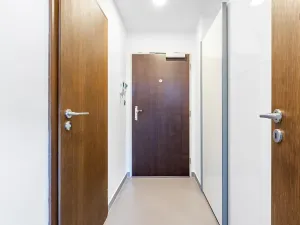 Prodej bytu 1+kk, Praha - Holešovice, V háji, 31 m2