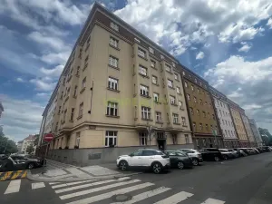 Prodej bytu 1+kk, Praha - Vinohrady, Písecká, 25 m2