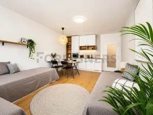 Pronájem bytu 1+kk, Brno, Cejl, 29 m2