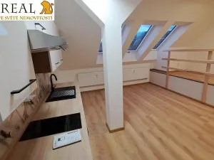 Pronájem bytu 1+kk, Šebrov-Kateřina, 30 m2