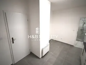 Prodej bytu 2+1, Praha - Nusle, U družstva Ideál, 48 m2