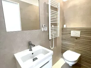 Pronájem bytu 1+kk, Praha - Nusle, Mečislavova, 26 m2