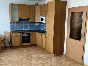 Pronájem bytu 1+kk, Praha - Holešovice, U měšťanského pivovaru, 41 m2