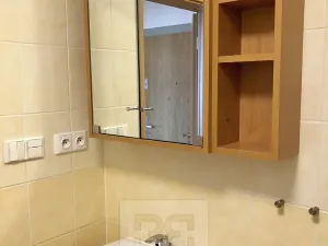 Pronájem bytu 1+kk, Praha - Holešovice, U měšťanského pivovaru, 41 m2