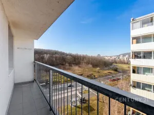 Pronájem bytu 2+1, Most, Brněnská, 35 m2