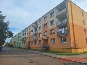 Pronájem bytu 1+kk, Dobřany, 17. listopadu, 19 m2