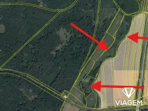 Prodej podílu pole, Golčův Jeníkov, 860 m2