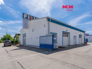 Pronájem obchodního prostoru, České Budějovice - České Budějovice 2, České Vrbné, 210 m2