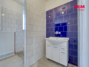 Prodej bytu 2+1, Plzeň - Východní Předměstí, Olšová, 72 m2