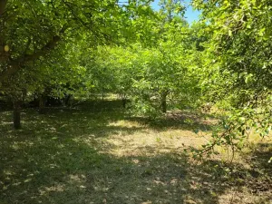 Prodej pozemku pro bydlení, Bukovina u Přelouče, 998 m2