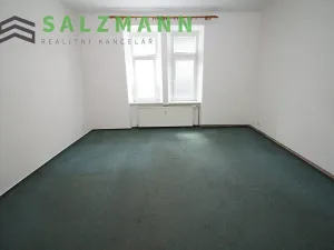 Pronájem bytu 2+kk, Plzeň, Úslavská, 45 m2