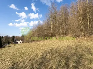 Prodej pozemku pro bydlení, Vsetín, Lázky, 9019 m2