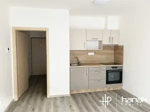 Pronájem bytu 1+kk, Olomouc, Eduarda Hamburgera, 26 m2