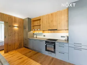 Prodej bytu 2+kk, Vítkovice, 57 m2