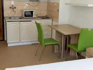 Pronájem bytu 1+kk, Praha - Vinohrady, Ondříčkova, 31 m2