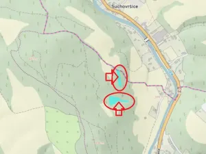Prodej lesa, Úpice, 4730 m2