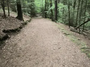 Prodej lesa, Liberec, 10902 m2