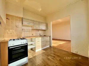 Pronájem bytu 1+1, Most, Javorová, 32 m2