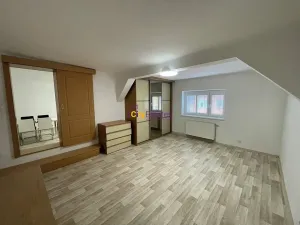 Pronájem bytu 2+1, Praha - Holešovice, V háji, 57 m2