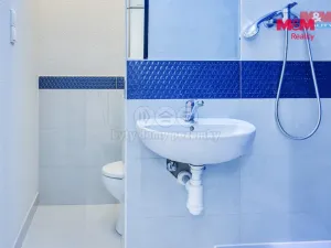 Prodej bytu 1+kk, Plzeň - Severní Předměstí, Brněnská, 31 m2