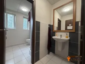 Pronájem kanceláře, Horní Suchá, Zelená, 10 m2