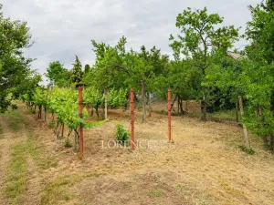 Prodej rodinného domu, Nový Poddvorov, 104 m2