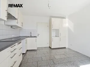 Prodej vícegeneračního domu, Kasejovice, 250 m2