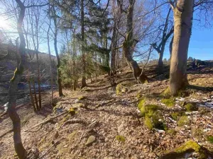 Dražba pozemku, Železná Ruda, 1644 m2