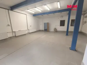 Pronájem obchodního prostoru, Ústí nad Labem - Ústí nad Labem-centrum, Hoření, 140 m2
